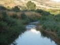 /album/photo-gallery-castronovo-di-sicilia/fiume-platani-jpg/